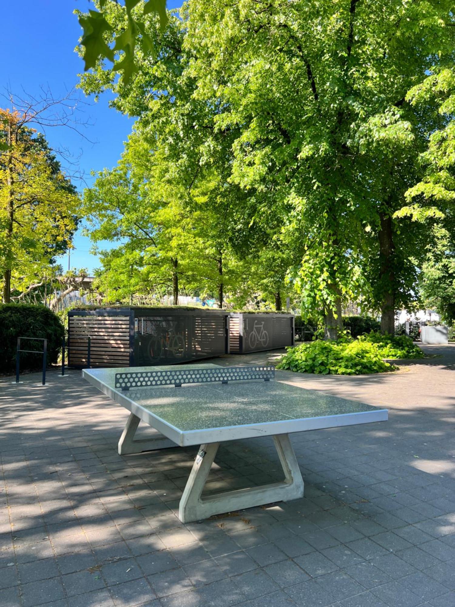 Jugendherberge Duesseldorf Hostel